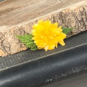 Meet your Posher, Mareidith